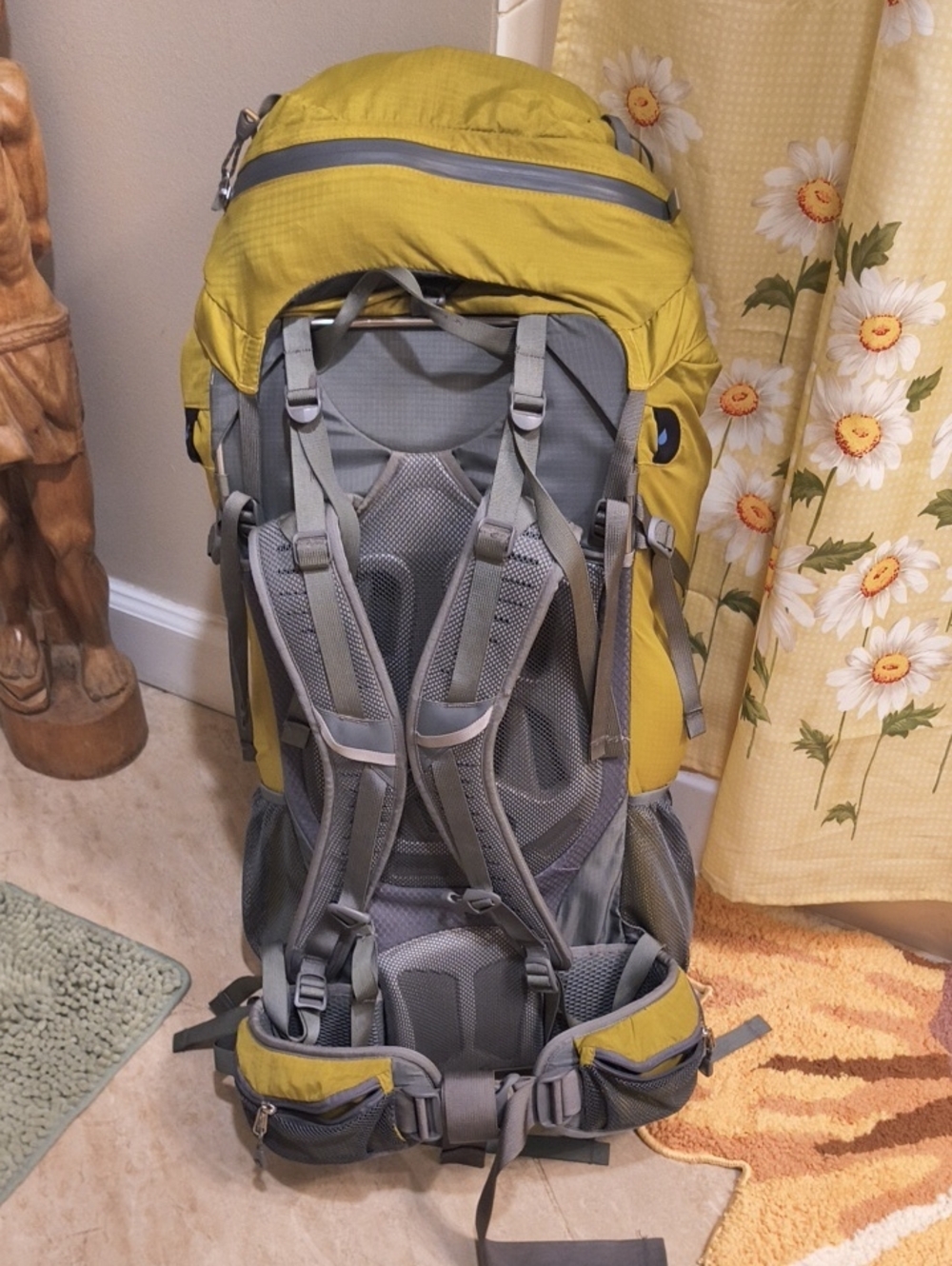 REI Flash 62L Backpack - Picture 4 of 7